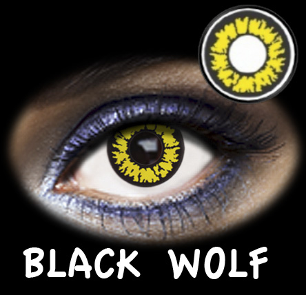 FANTASIA ANUAL BLACK WOLF 2PK