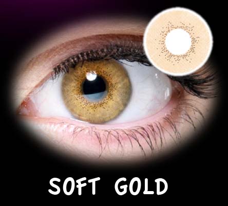 FASHION NATURAL SOFT GOLD ANUAL 2PK
