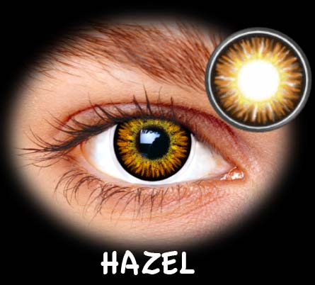 FANTASIA ANUAL LONDON HAZEL 2PK